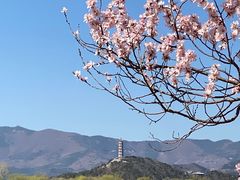 -颐和园