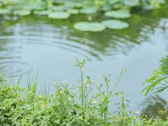 -白沙门生态公园