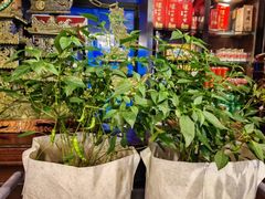 -老宋家鱼馆(北滨路店)