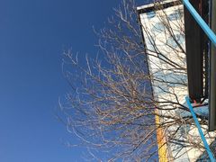 -北京崇文门桔子水晶酒店