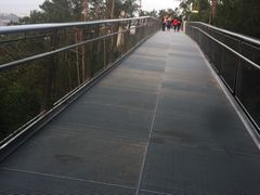-仙岳公园