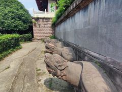 -桂湖森林公园