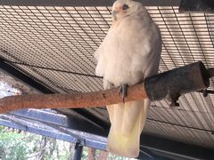 -可伦宾野生动物保护区