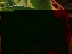 藏味八珍特色小火锅-藏味八珍特色火锅