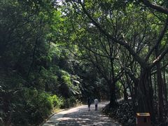 -云溪植物园