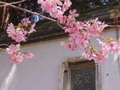-乌山风景区
