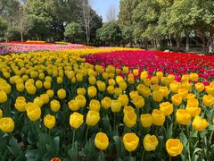 -上海鲜花港