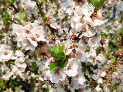 -杭州城北体育公园