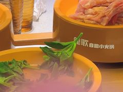 -龍歌自助小火锅(崂山丽达店)