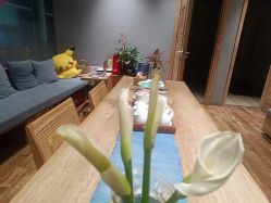 -卡莫瑜伽·普拉提