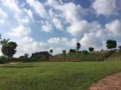 -良成狗狗乐园
