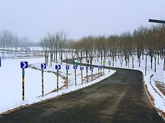 -东郊湿地公园