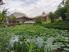 -映月湖公园