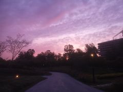 -春花秋色城市公园