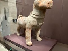 -上海浦东展览馆