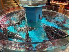 -魏铭鱼头捞饭(晋阳路店)