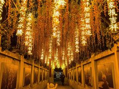 -天津意大利风情旅游区