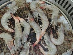 -集杰尚品海鲜烤肉自助餐厅(乳山振华店)