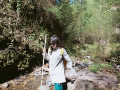 -峡谷浮石林景区