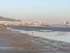 -养马岛旅游度假区