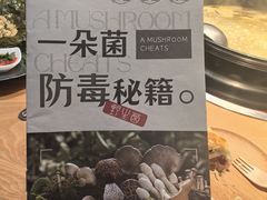 -一朵菌·野生菌探索家火锅(南亚店)