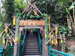 -西双版纳原始森林公园