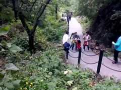 -王顺山国家森林公园