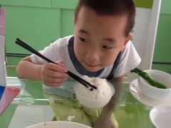 -百万葵园