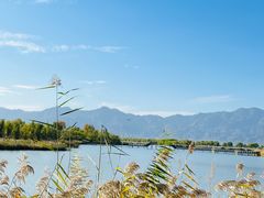 -野鸭湖国家湿地公园