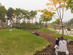 -田园东方蜜桃村的田野营地