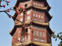 -房湖公园