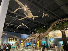 -国家自然博物馆