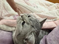 -联合动物医院(光谷诊疗中心)