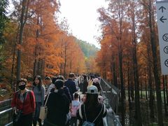 -梅峰山地公园