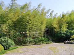 -宜兴龙背山森林公园