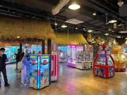 -卡通尼·Safari非洲探索乐园·生日会(金桥国际商业广场店)