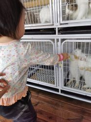 -小蜜蜂农场(凯德七宝购物广场店)