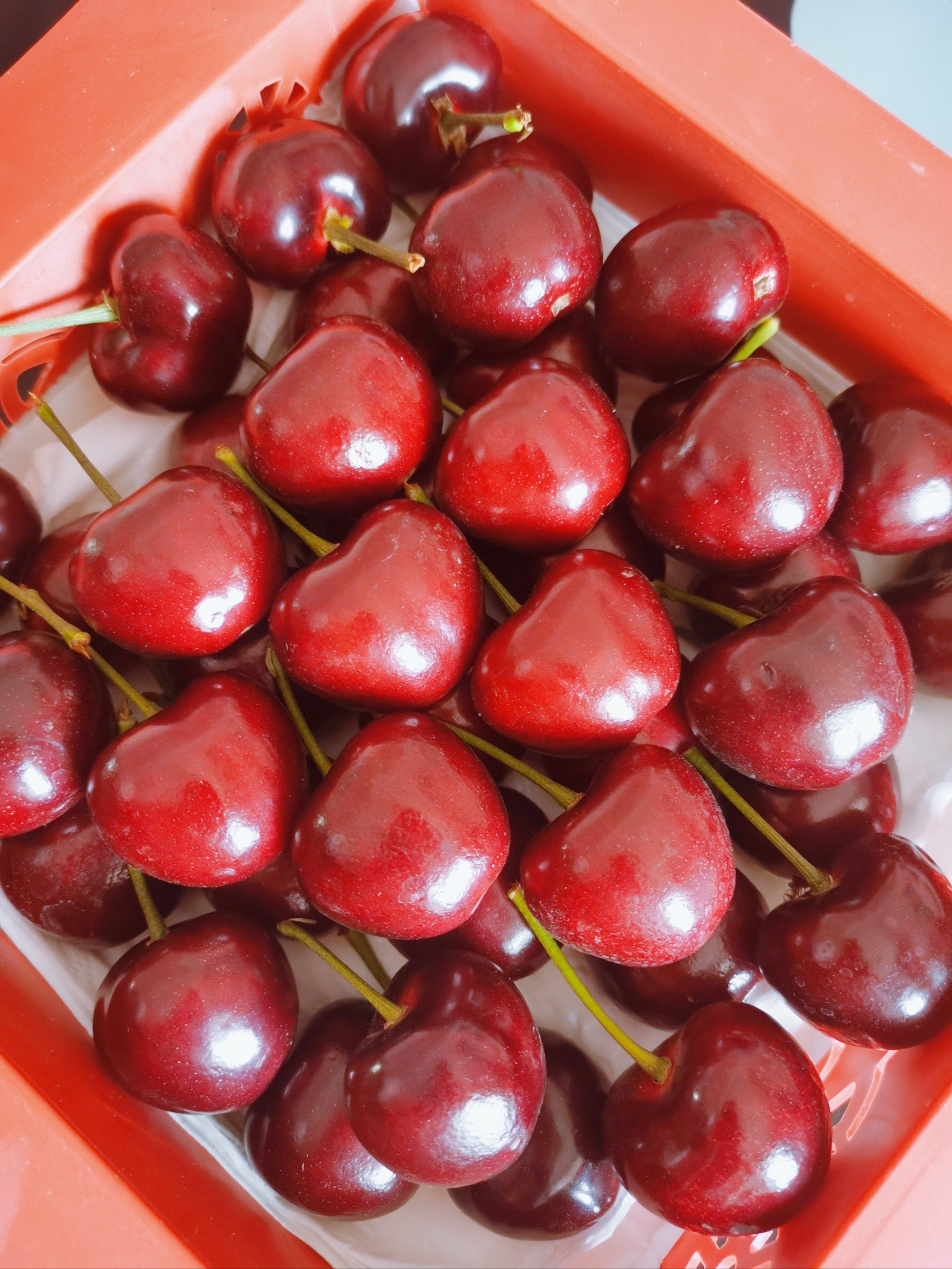 第一次吃这么大的樱桃