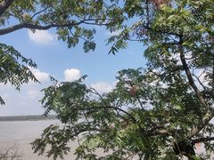 -幕燕滨江·燕子矶公园