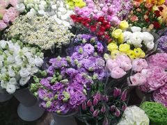 -双季花艺园艺市场(浦东店)