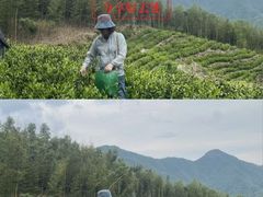 -东天目山风景区