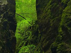 -牛背梁国家森林公园