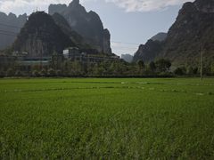 -明仕田园