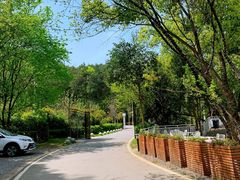 -青龙山国家森林公园