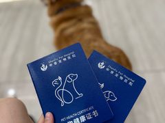 -申普宠物医院·眼科·心内科·影像科(普陀分院)