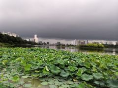 -南宁南湖公园