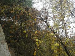 -雪山彩虹谷景区