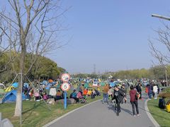 -昆山城市生态森林公园