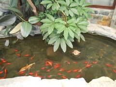 大堂-绿色时代大酒店