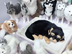 -亚马逊丛林水乐园